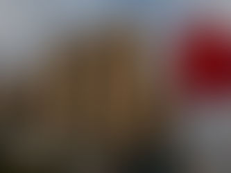 China Evergrande liquidated: judicial procedure and economic effects