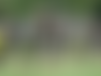 I soldati cinesi si impegnano a sacrificare le loro vite in un documentario sull'invasione di Taiwan