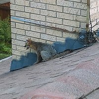 IMAG0321.jpg