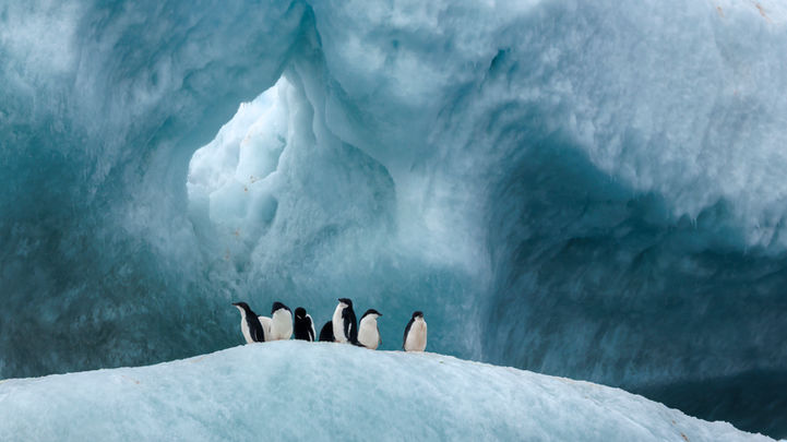 Antarctica