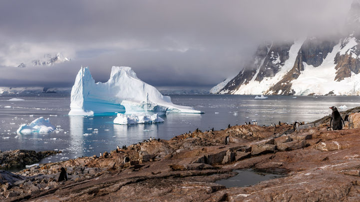 Antarctica