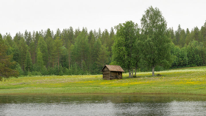 Finland. Summer