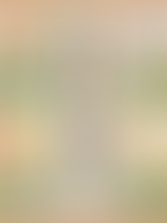 顧健康,普渡食材怎麼買?!