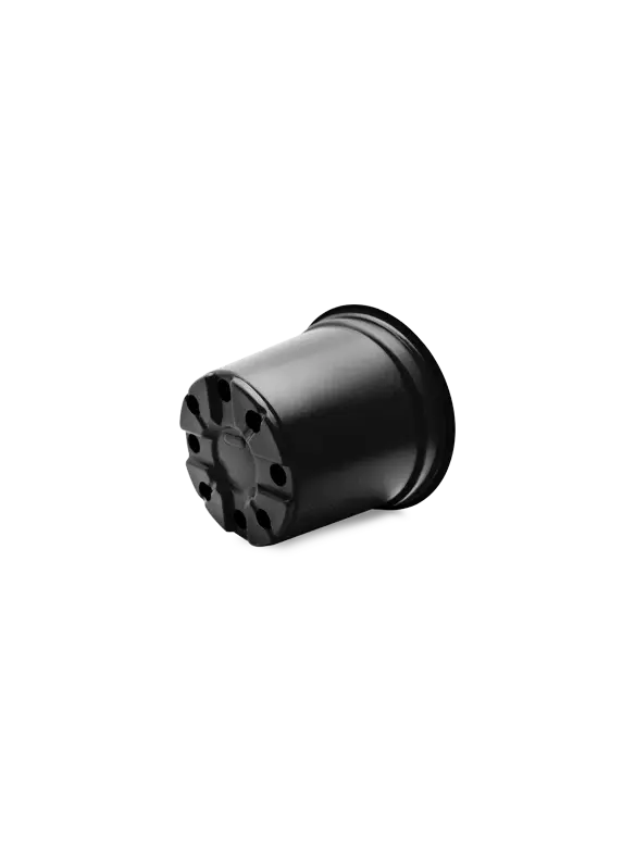 Miniatura: Maceta Baja 5 1/2"