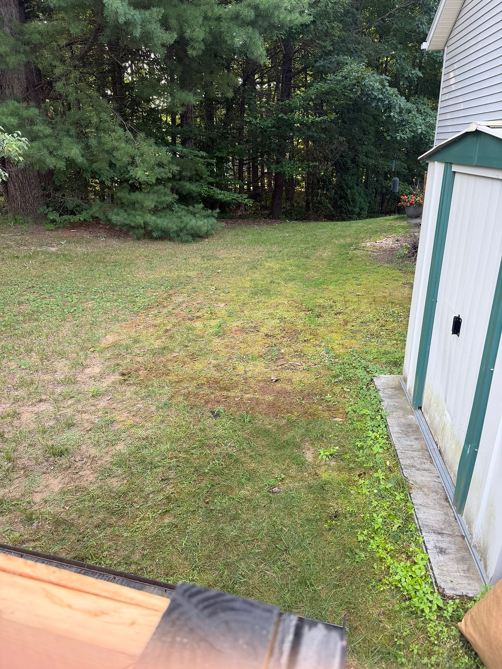 Clean backyard after Spa City Junkers removal services.