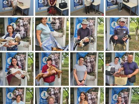 Провели 434 стерилізації за тиждень з 8 по 14 вересня