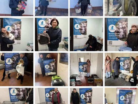 Провели 448 стерилізацій за тиждень з 2 по 8 березня