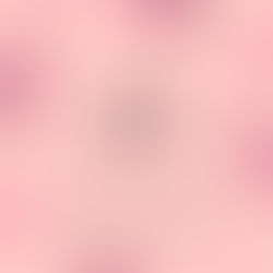 64 котики знайшли сім'ю у вересні