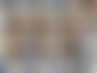 Провели 409 стерилізацій за тиждень з 4 по 10 серпня