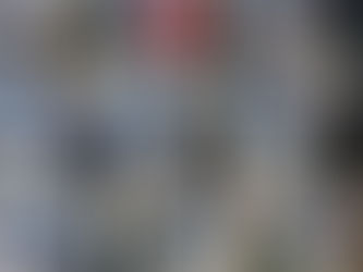 Провели 419 стерилізацій за тиждень з 20 по 26 січня