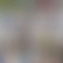 Провели 439 стерилізацій за тиждень з 2 по 8 червня