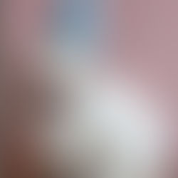 88 котиків знайшли домівку за грудень