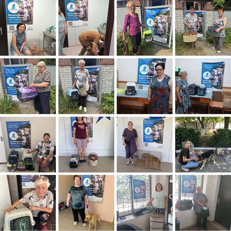 Провели 511 стерилізацій за тиждень з 7 по 13 липня