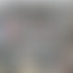 Провели 407 стерилізацій за тиждень з 22 по 28 вересня