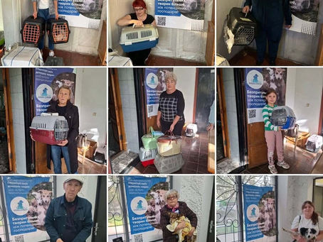 Провели 360 стерилізацій за тиждень з 30 вересня по 6 жовтня