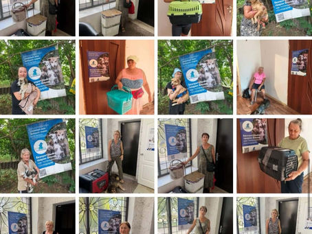 Провели 371 стерилізацію за тиждень з 10 по 16 серпня