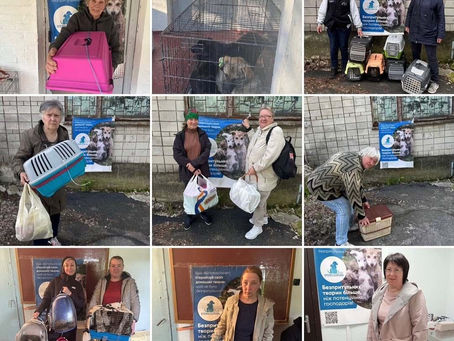 Провели 520 стерилізацій за тиждень з 12 по 18 травня