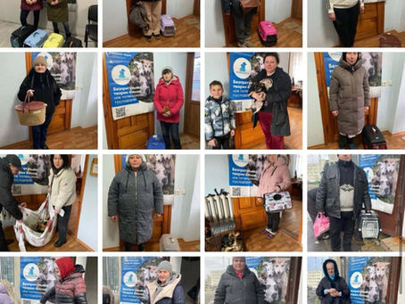 Провели 420 стерилізацій за тиждень з 9 по 15 лютого