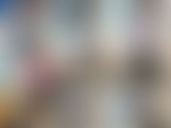 Провели 338 стерилізацій за тиждень з 14 по 20 жовтня