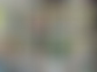 Провели 536 стерилізацій за тиждень з 1 по 7 вересня