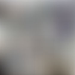 Провели 440 стерилізацій за тиждень з 1 по 7 грудня