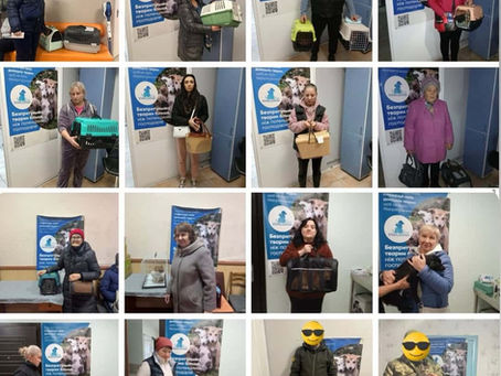 Провели 440 стерилізацій за тиждень з 1 по 7 грудня