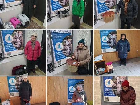 Провели 485 стерилізацій за тиждень з 27 січня по 2 лютого