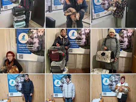 Провели 401 стерилізацію за тиждень з 9 по 15 грудня