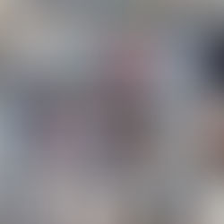 Провели 387 стерилізацій за тиждень з 21 по 27 квітня