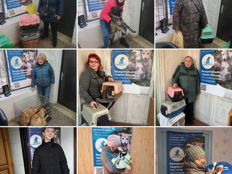 Провели 394 стерилізації за тиждень з 16 по 22 грудня