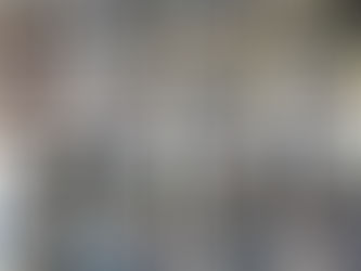 Провели 462 стерилізації за тиждень з 8 по 14 грудня