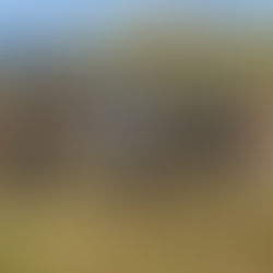 Mitsubishi L200 для підрозділу БПЛА 3-ї ОШБр