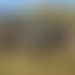 Mitsubishi L200 для підрозділу БПЛА 3-ї ОШБр