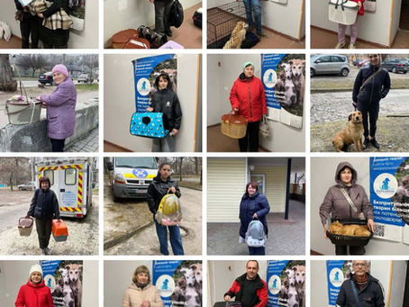 Провели 540 стерилізацій за тиждень з 23 по 29 березня