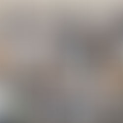 Провели 561 стерилізацію за тиждень з 16 по 22 червня