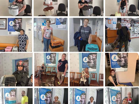 Провели 561 стерилізацію за тиждень з 16 по 22 червня