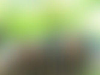 Пікап Ford Ranger 2.5 TDI для бійців 91-ї окремої Охтирської бригади підтримки