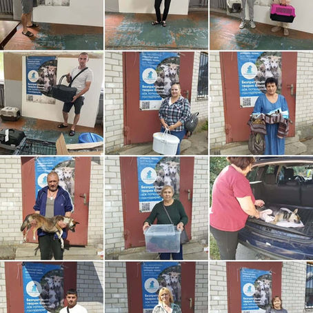 Провели 333 стерилізації за тиждень з 18 по 24 серпня