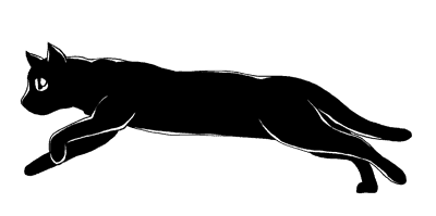 A fast cat for notary services