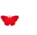 graphics-butterflies-437335.gif