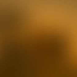 What We Resist, Persists: A Sacred Unfolding