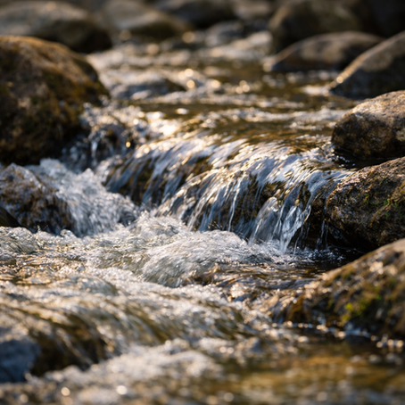 Remembering Is Not Done by the Mind