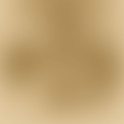 Above the Animals, or Among Them?