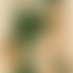 Tending the Garden: Self-Care, Boundaries, and the Sacred Pause