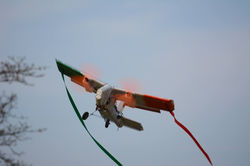 UAV (Unmanned Aerial Vehicle)