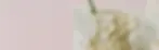Rectangle-25.webp