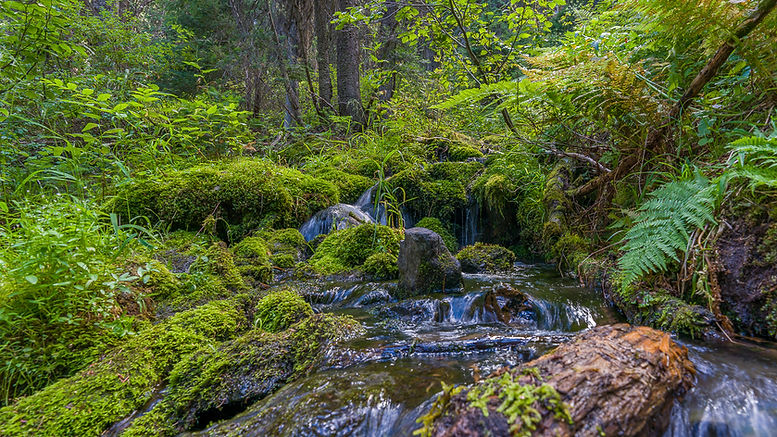 Crystal Lake Stream 1600x900.jpg