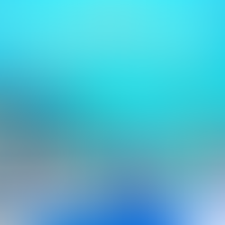 DIA MUNDIAL DO PROFESSOR