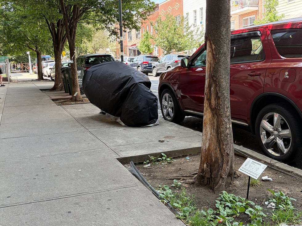 STUMPS Sign Installation Sunset Park 2