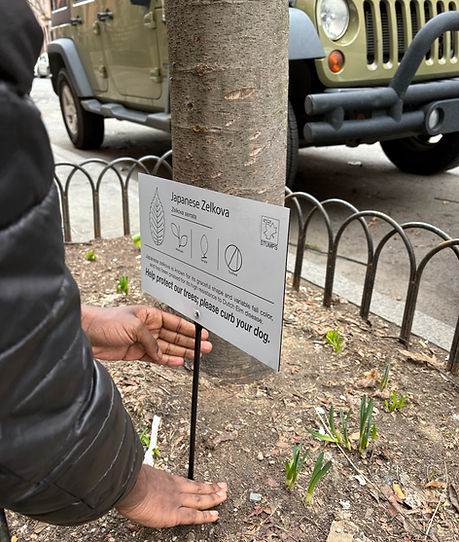 Copy of IMG_0016.HEIC